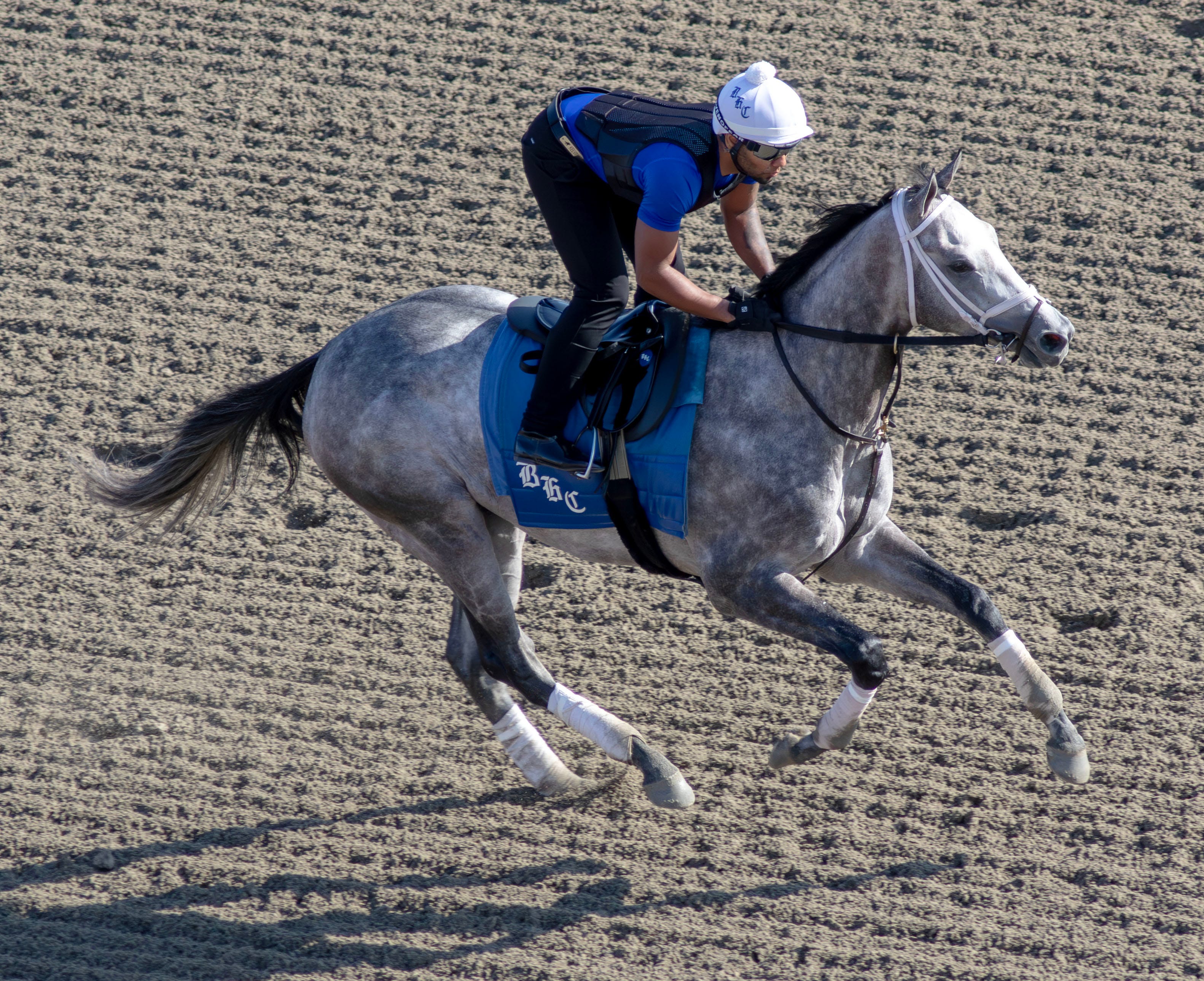 Saudi Crown, Magic Tap eye first stakes win in Pennsylvania Derby